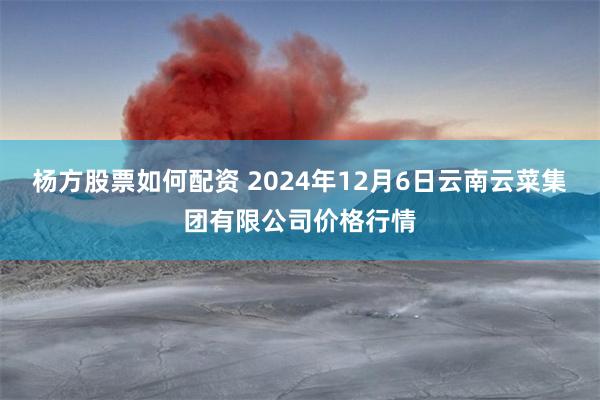 杨方股票如何配资 2024年12月6日云南云菜集团有限公司价格行情