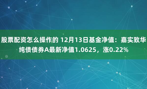 股票配资怎么操作的 12月13日基金净值：嘉实致华纯债债券A最新净值1.0625，涨0.22%