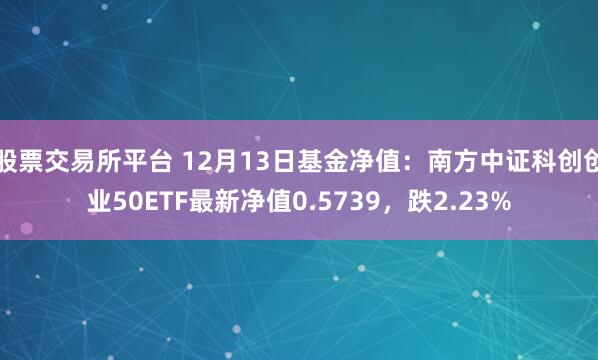 股票交易所平台 12月13日基金净值：南方中证科创创业50ETF最新净值0.5739，跌2.23%