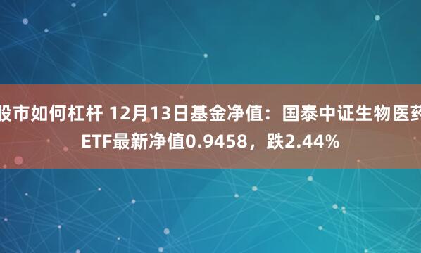 股市如何杠杆 12月13日基金净值：国泰中证生物医药ETF最新净值0.9458，跌2.44%