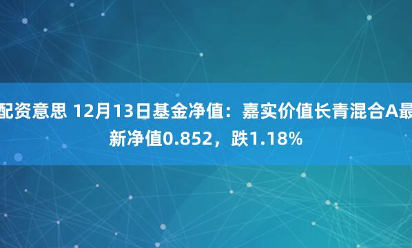 配资意思 12月13日基金净值：嘉实价值长青混合A最新净值0.852，跌1.18%