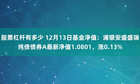 股票杠杆有多少 12月13日基金净值：浦银安盛盛瑞纯债债券A最新净值1.0801，涨0.13%