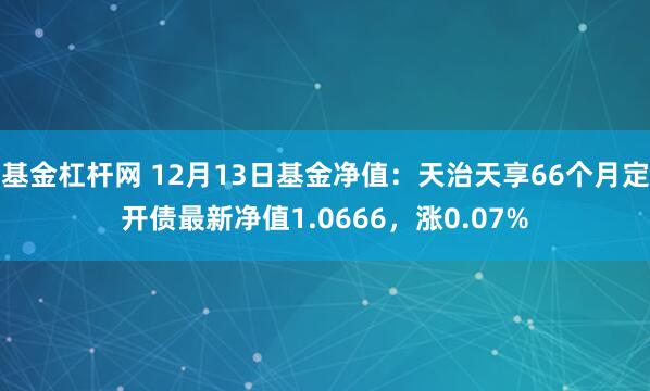 基金杠杆网 12月13日基金净值：天治天享66个月定开债最新净值1.0666，涨0.07%