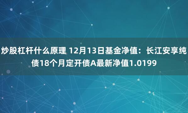 炒股杠杆什么原理 12月13日基金净值：长江安享纯债18个月定开债A最新净值1.0199