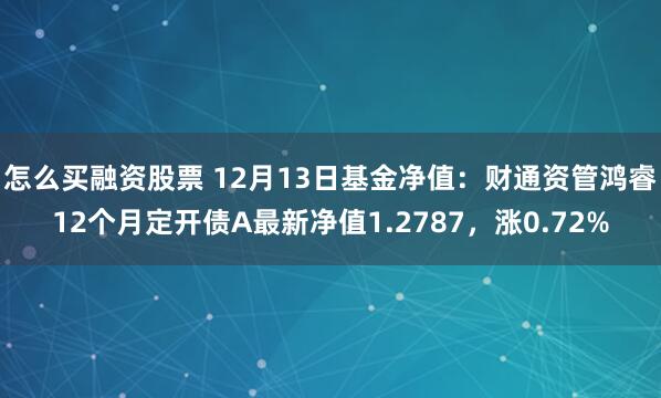 怎么买融资股票 12月13日基金净值：财通资管鸿睿12个月定开债A最新净值1.2787，涨0.72%