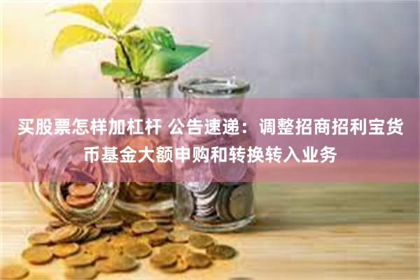 买股票怎样加杠杆 公告速递：调整招商招利宝货币基金大额申购和转换转入业务