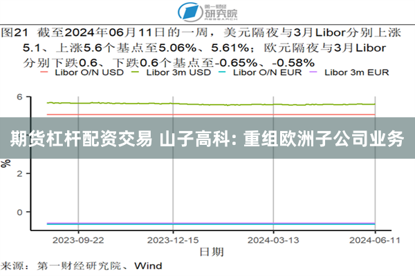 期货杠杆配资交易 山子高科: 重组欧洲子公司业务