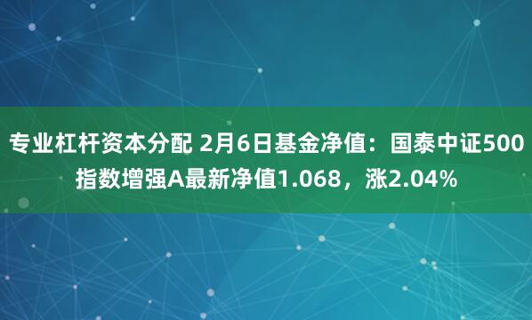 专业杠杆资本分配 2月6日基金净值：国泰中证500指数增强A最新净值1.068，涨2.04%