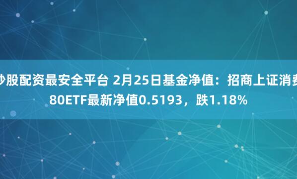 炒股配资最安全平台 2月25日基金净值：招商上证消费80ETF最新净值0.5193，跌1.18%